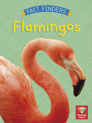 cover image of Flamingos